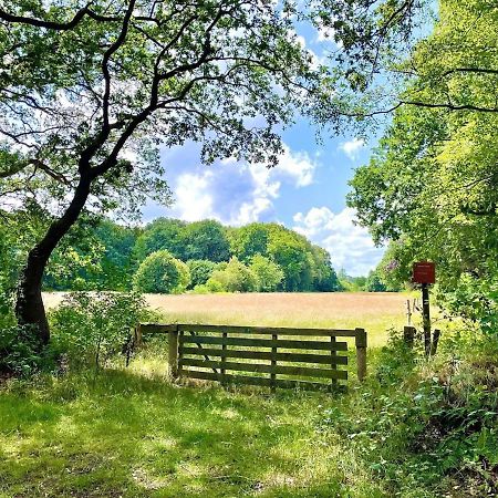 Buitenlust In Het Bos Zuidlaren Kültér fotó
