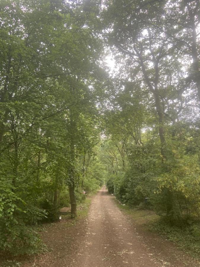 Buitenlust In Het Bos Zuidlaren Kültér fotó