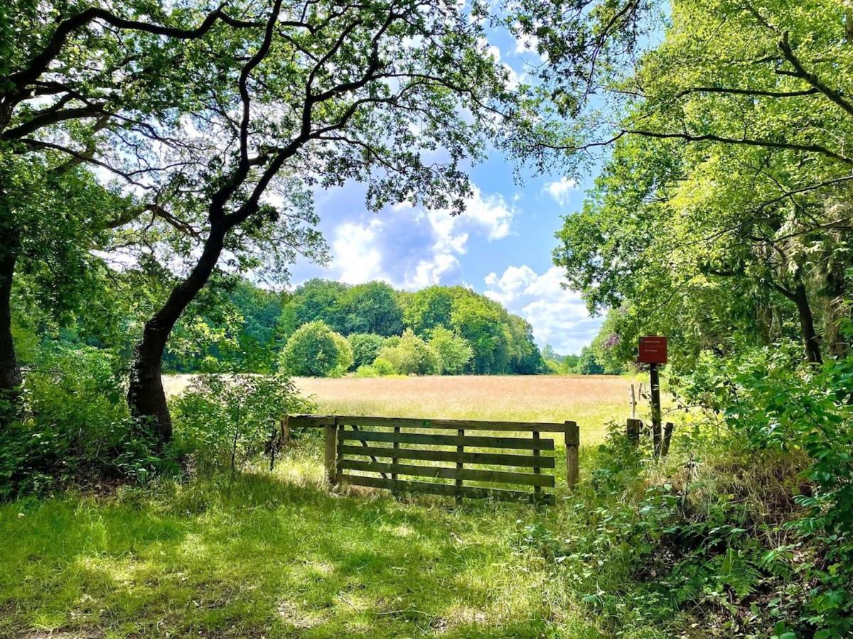 Buitenlust In Het Bos Zuidlaren Kültér fotó