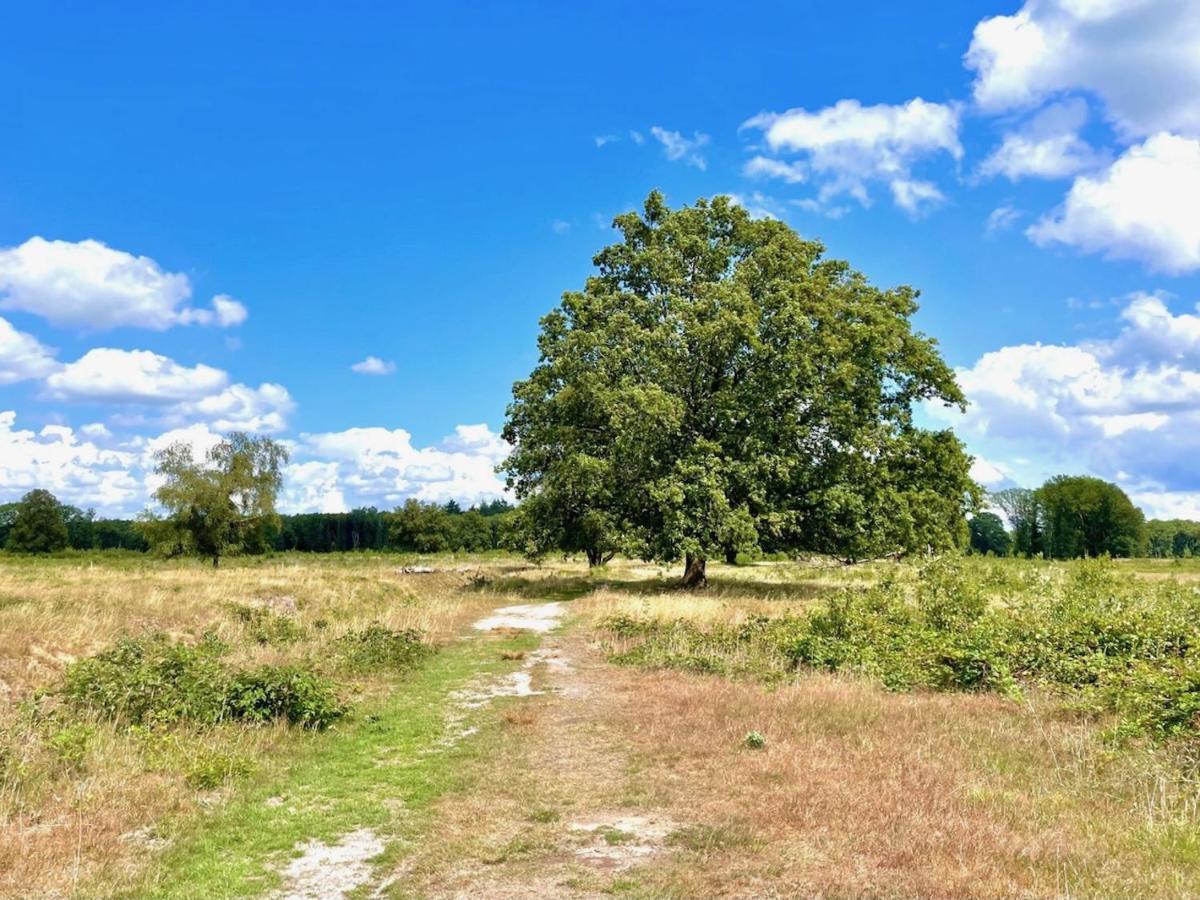 Buitenlust In Het Bos Zuidlaren Kültér fotó