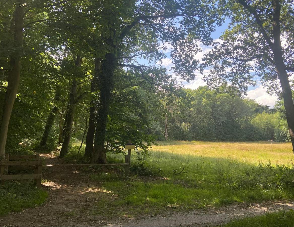 Buitenlust In Het Bos Zuidlaren Kültér fotó