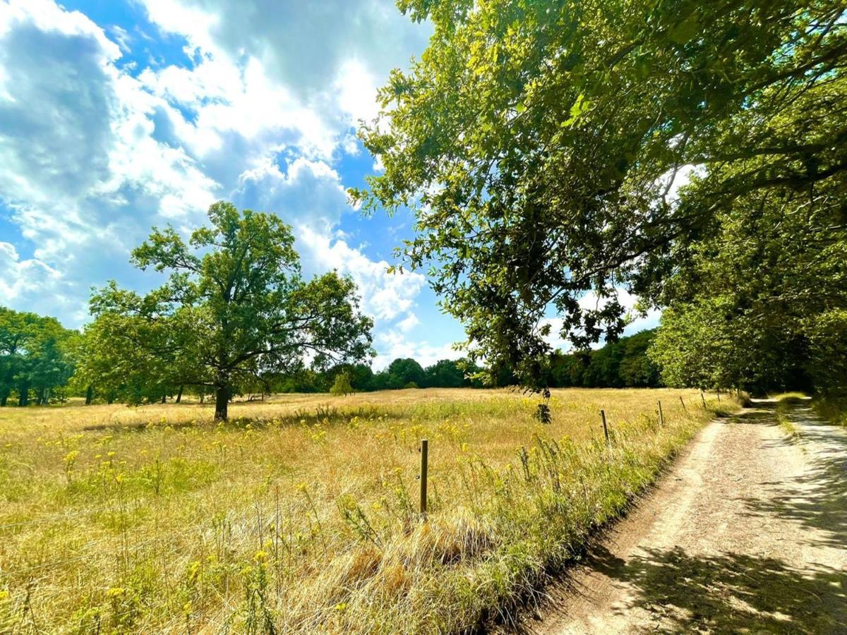 Buitenlust In Het Bos Zuidlaren Kültér fotó